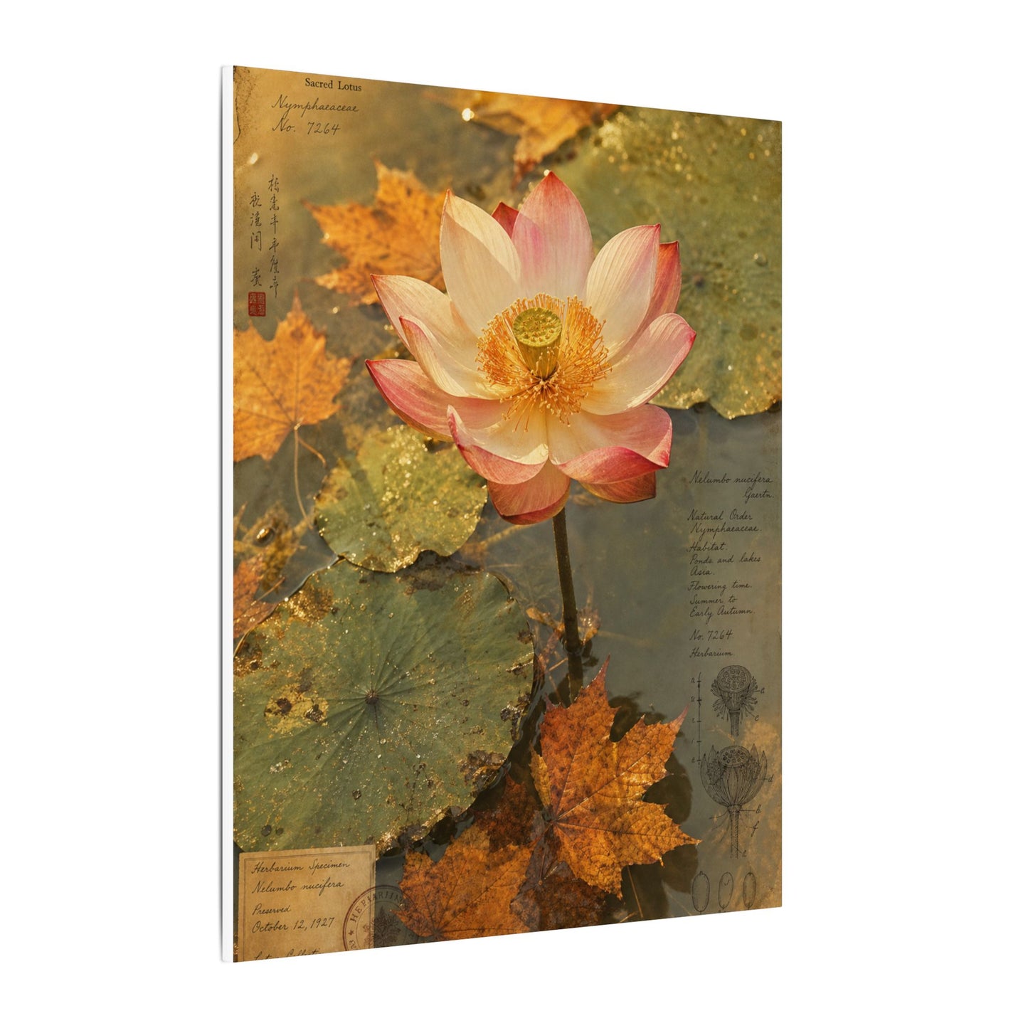 Autumn Lotus Flower Herbarium Canvas Art | Rustic Decor