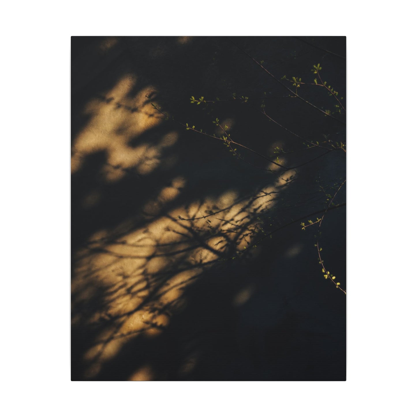 Moody Shadow Play Canvas Art - Moody Minimal Dark Japandi
