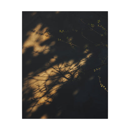 Moody Shadow Play Canvas Art - Moody Minimal Dark Japandi