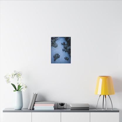 Contemplative Cherry Blossom Canvas Art - Karesansui Zen