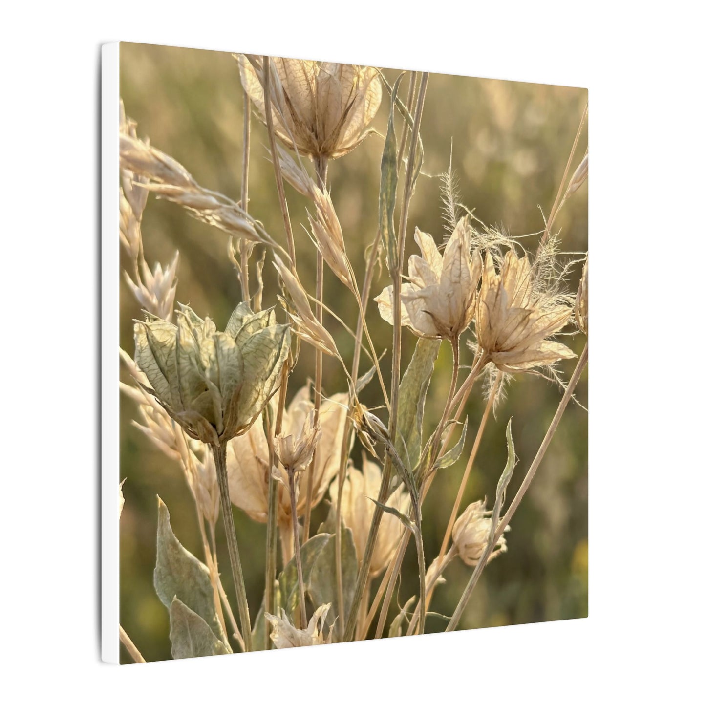 Summer Dried Flowers Minimal Line Canvas Art | Cozy Decor