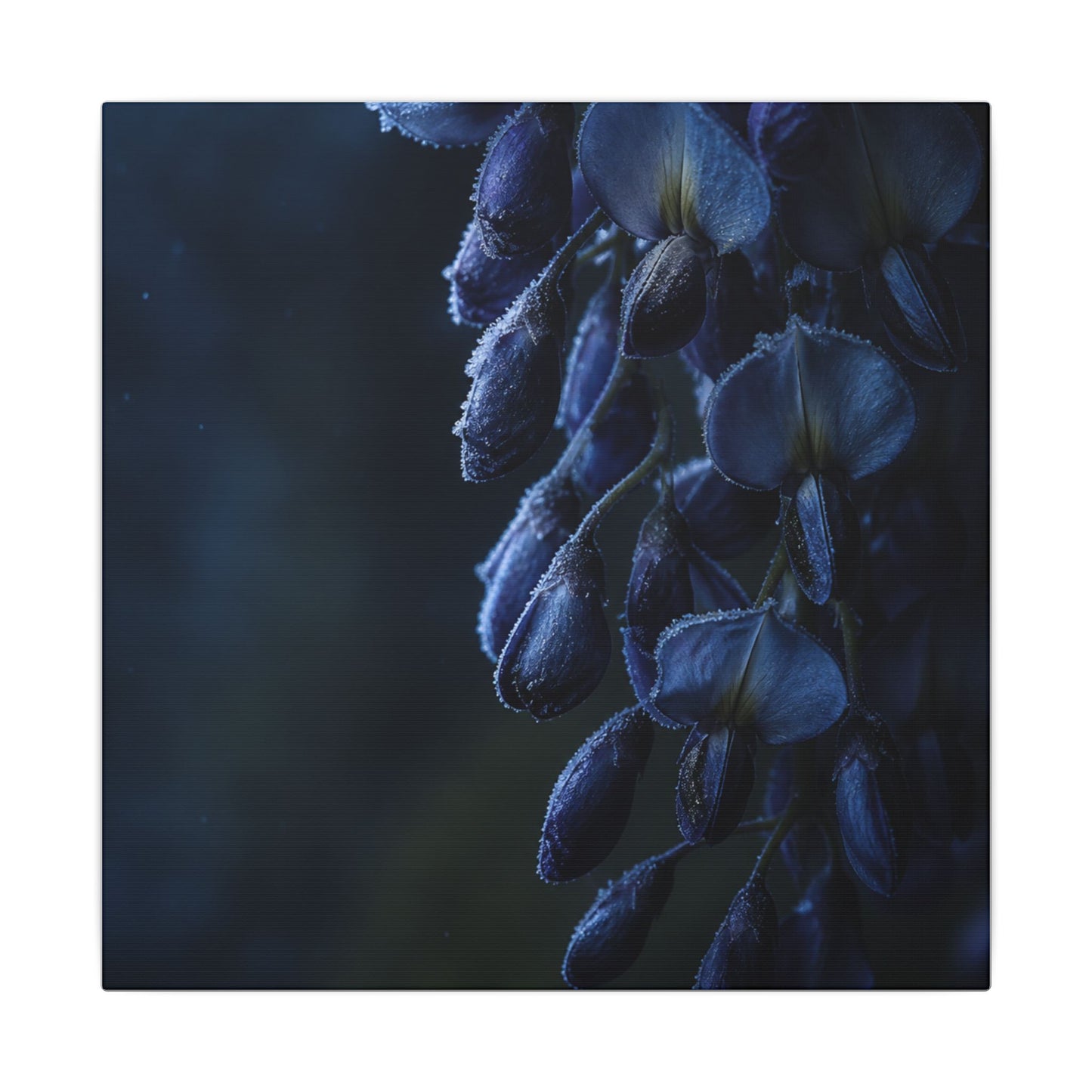 Winter Wisteria Shadow Zen Canvas Art | Atmospheric Decor