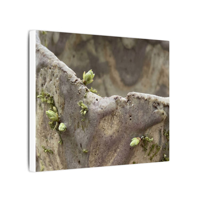 Overcast Ceramic Bowl Canvas Art - Japandi Fukinsei