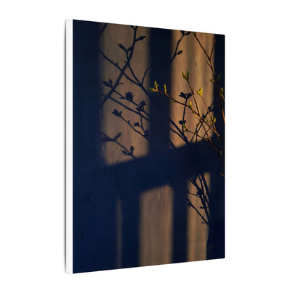 Shadow Play Canvas Art | Spring Dark Japandi Shadow Zen Art
