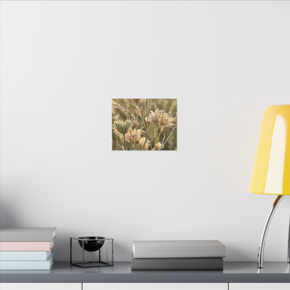 Summer Dried Flowers Minimal Line Canvas Art | Cozy Decor