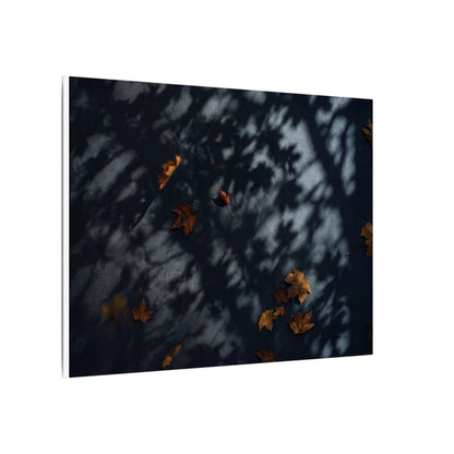 Autumn Shadow Play Shadow Zen Canvas Art | Atmospheric Decor
