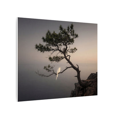 Dawn Pine Tree Canvas Art - Dark Japandi Datsuzoku