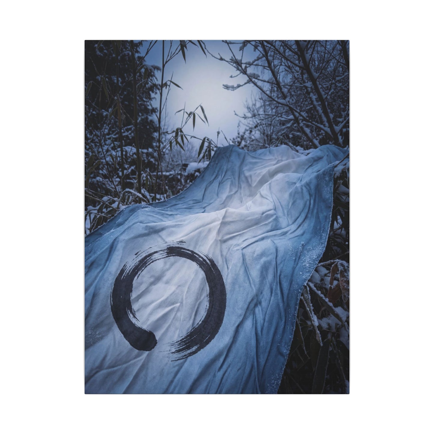Moonlight Silk Drape Canvas Art - Zen Datsuzoku