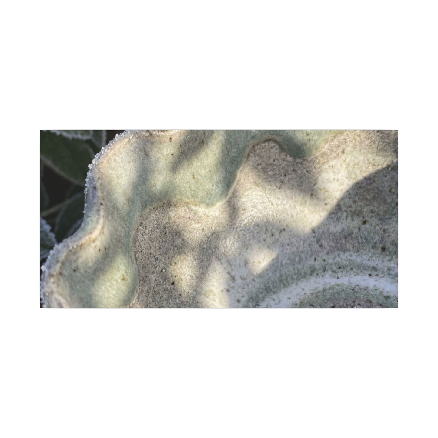 Dappled Ceramic Bowl Canvas Art - Japandi Seijaku