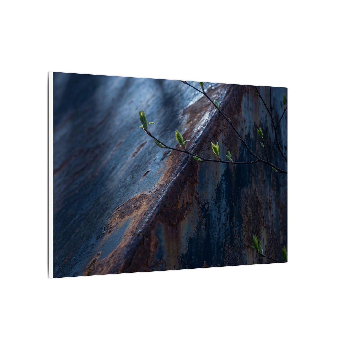 Rust Patina Canvas Art | Spring Dark Japandi Shadow Zen Art