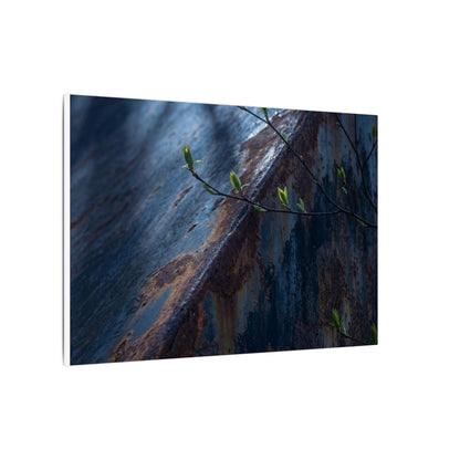 Rust Patina Canvas Art | Spring Dark Japandi Shadow Zen Art
