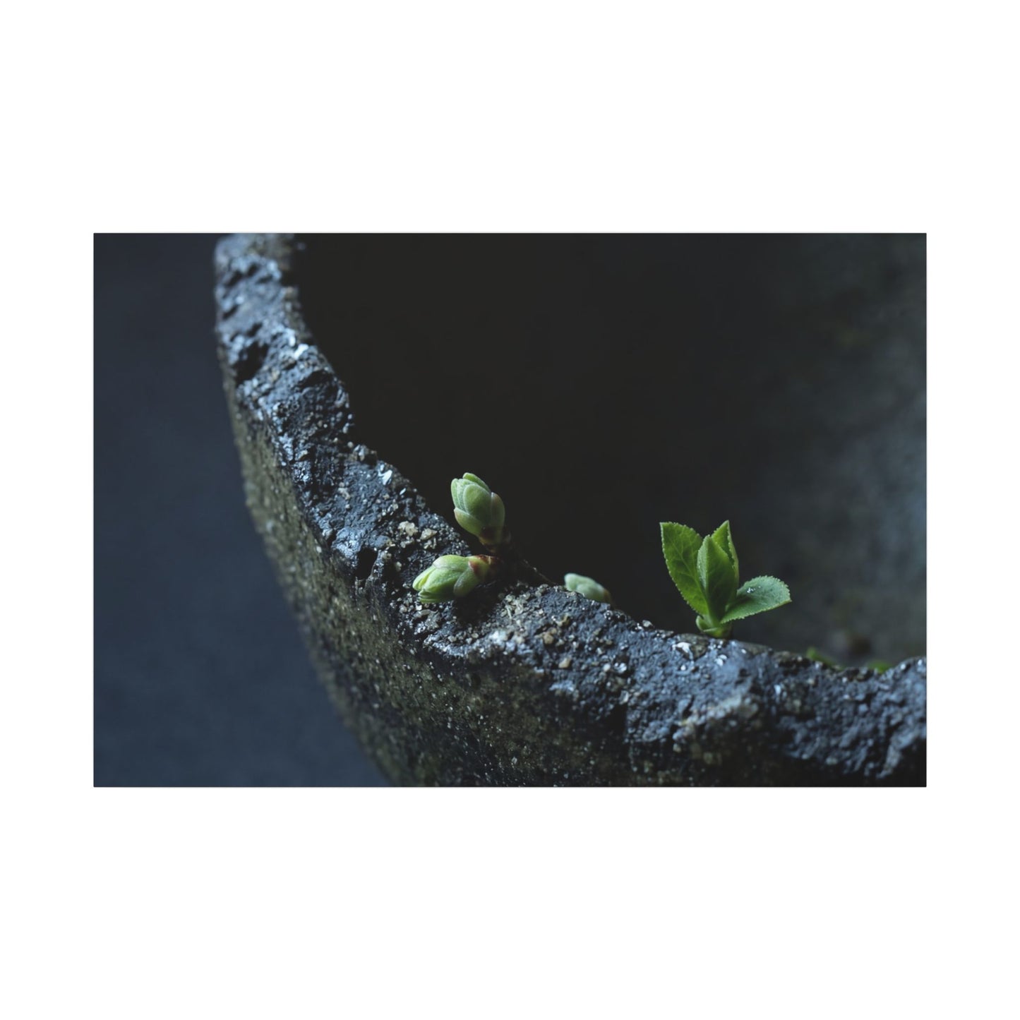 Dark Japandi Ceramic Bowl in Moonlight | Moody Minimal Canvas Art Art Print
