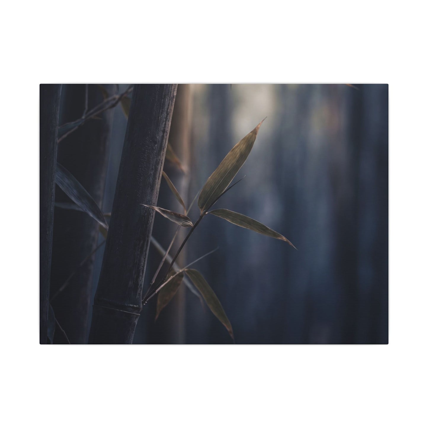 Dark Japandi Bamboo Grove in Dawn | Moody Minimal Canvas Art Art Print