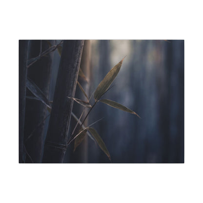 Dark Japandi Bamboo Grove in Dawn | Moody Minimal Canvas Art Art Print