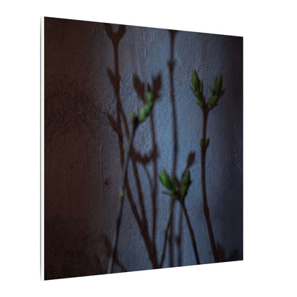 Shadow Play Spring Canvas Art | Dark Japandi Sophisticated Design