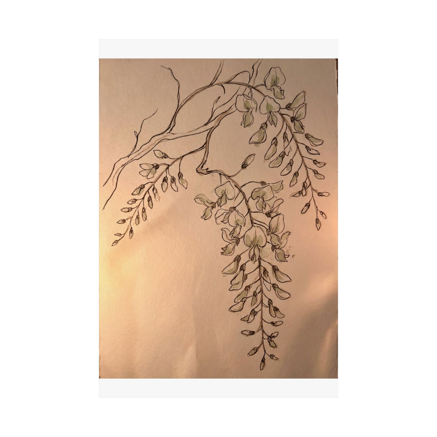 Neutral Wisteria Wall Art Print - Minimal Line Japandi