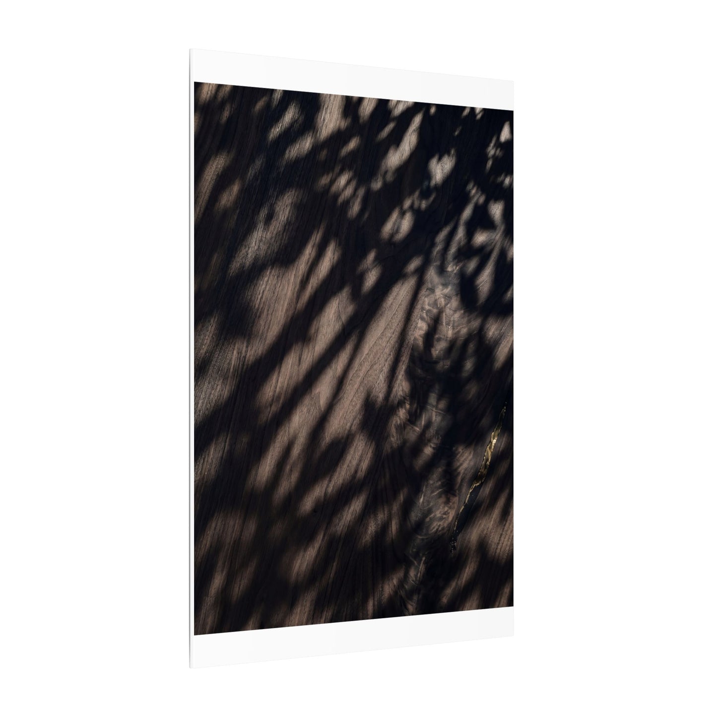 Shadow Play Summer Canvas Art | Dark Japandi Moody Design