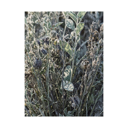 Dried Flowers Winter Wall Art Print | Japandi Neutral Design
