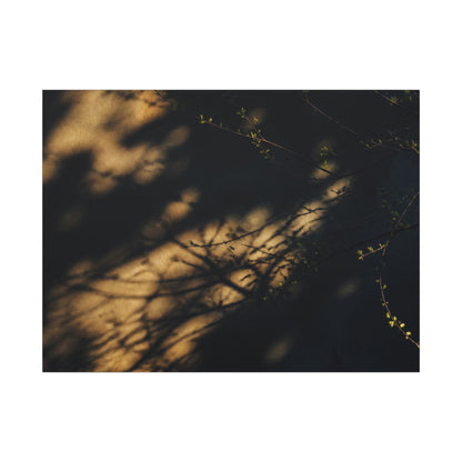 Moody Shadow Play Canvas Art - Moody Minimal Dark Japandi