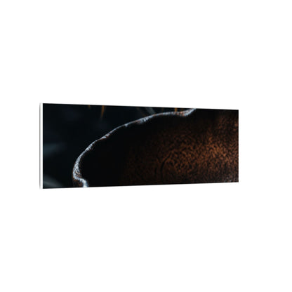 Luxurious Ceramic Bowl Canvas Art - Shadow Zen Dark Japandi