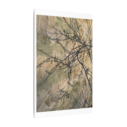 Japandi Shadow Play in Golden Hour | Texture Canvas Art