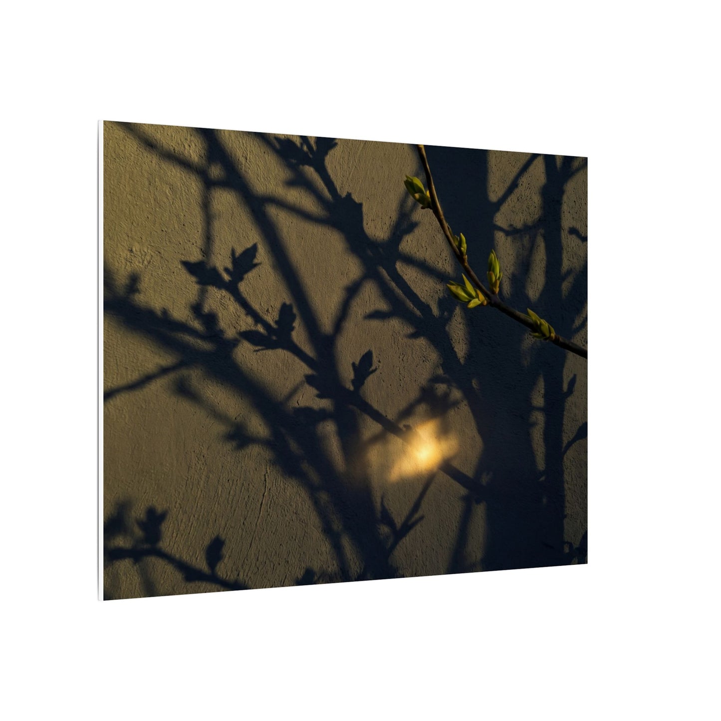 Bold Shadow Play Canvas Art - Moody Minimal Dark Japandi
