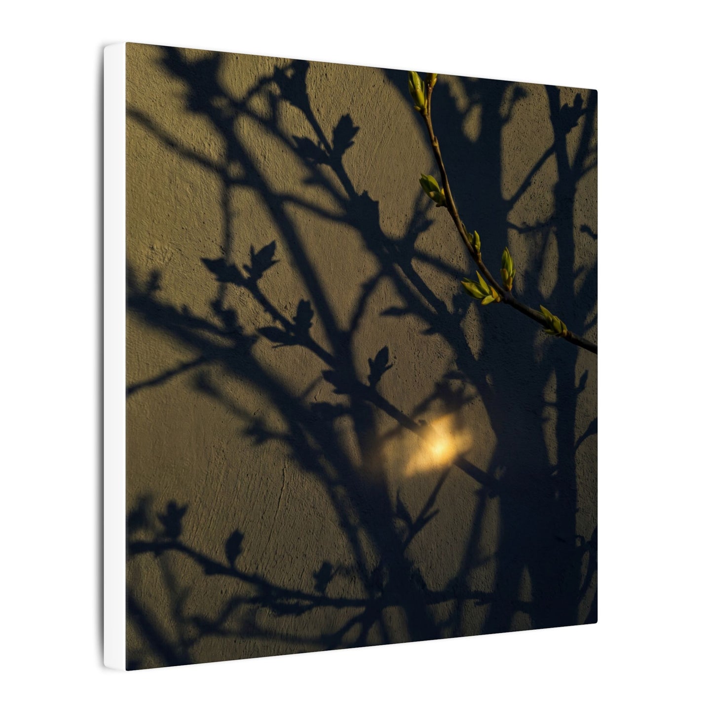 Bold Shadow Play Canvas Art - Moody Minimal Dark Japandi