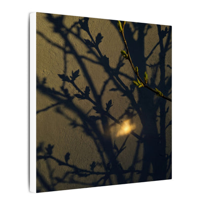 Bold Shadow Play Canvas Art - Moody Minimal Dark Japandi