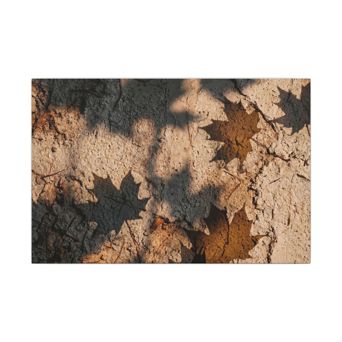 Cozy Shadow Play Canvas Art - Texture Japandi