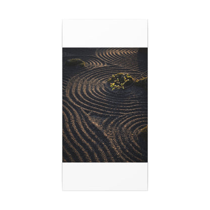 Spring Rock Garden Shadow Zen Canvas Art | Atmospheric Decor
