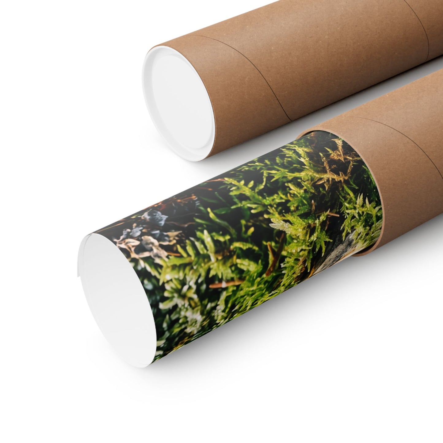 Winter Moss Close Up Gold Repair Wall Art Print | Beautiful Decor