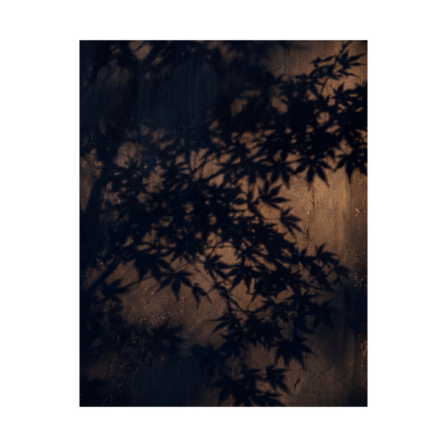 Shadow Play Shadow Zen Wall Art Print | Atmospheric Dark Japandi Art
