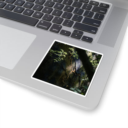 Dappled Cracked Earth Sticker - Dark Japandi Ma