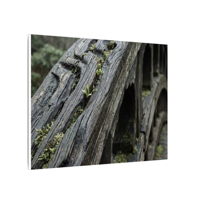 Overcast Wooden Bridge Canvas Art - Japandi Kanso