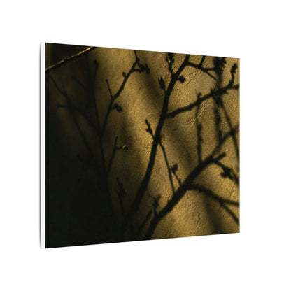 Golden Hour Shadow Play Canvas Art - Dark Japandi Seijaku
