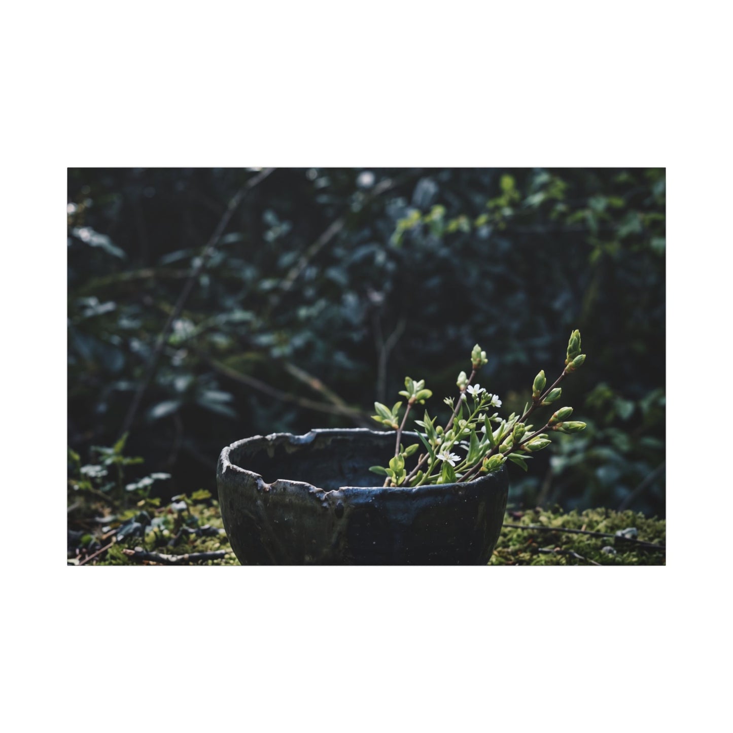 Dappled Ceramic Bowl Canvas Art - Dark Japandi Datsuzoku