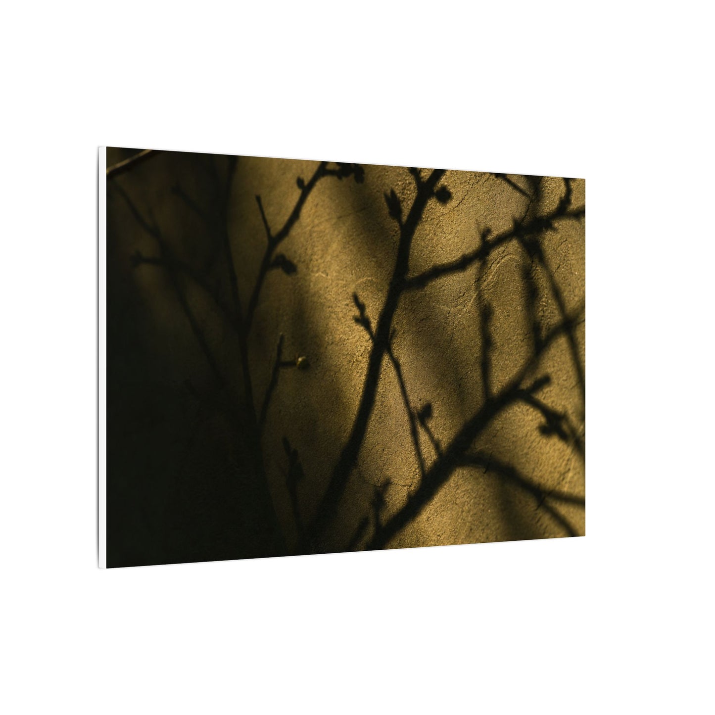 Golden Hour Shadow Play Canvas Art - Dark Japandi Seijaku