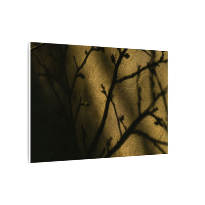 Golden Hour Shadow Play Canvas Art - Dark Japandi Seijaku
