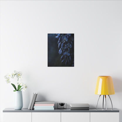 Winter Wisteria Shadow Zen Canvas Art | Atmospheric Decor