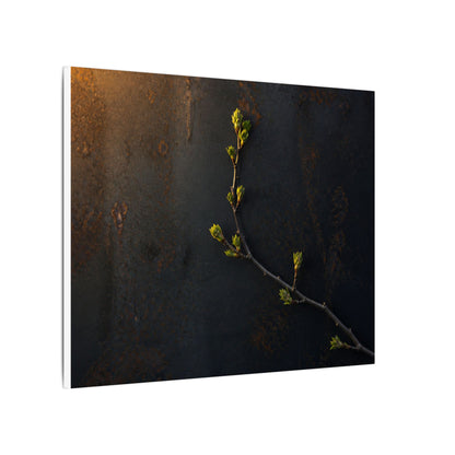 Dark Japandi Rust Patina in Golden Hour | Moody Minimal Canvas Art