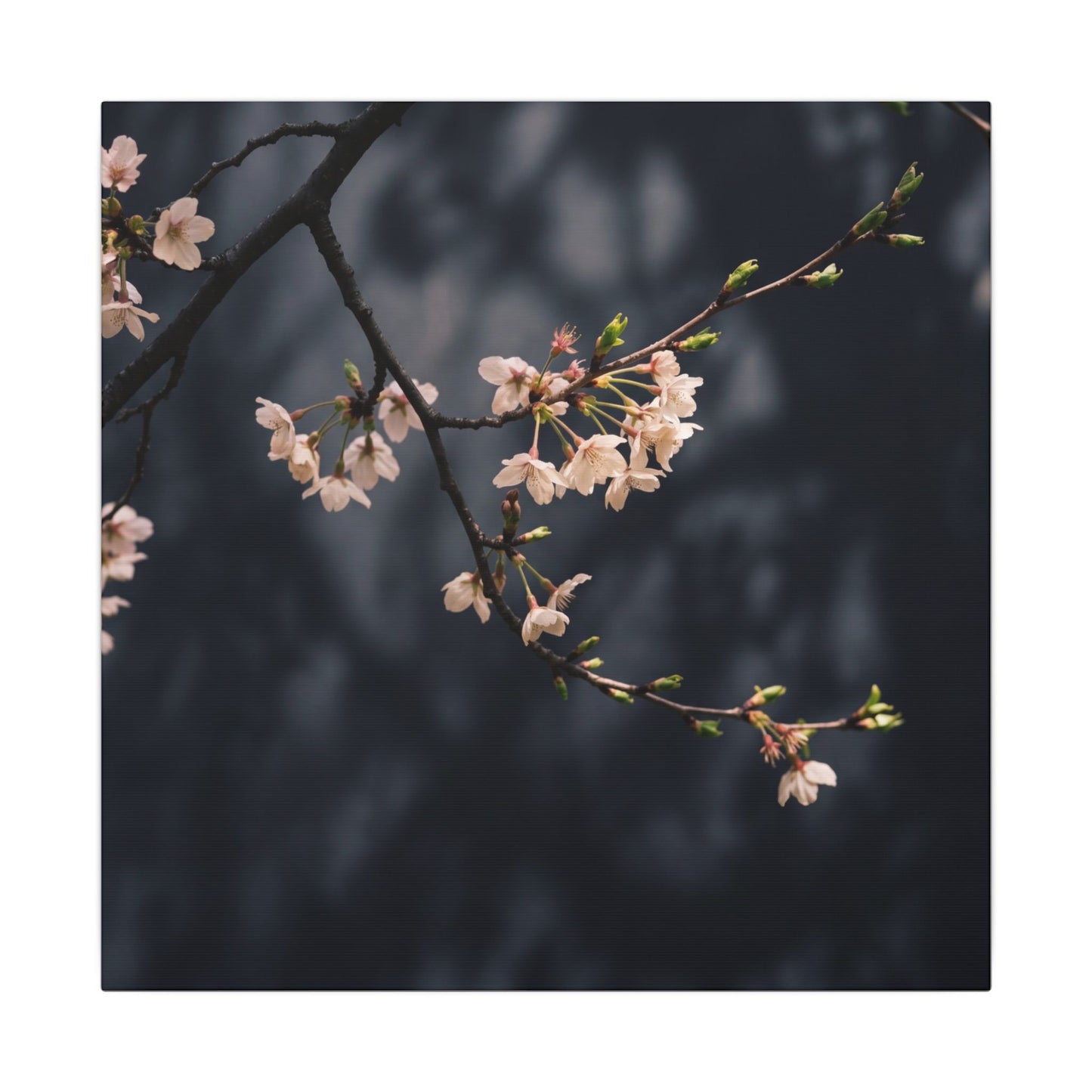 Cherry Blossom Moody Minimal Canvas Art | Bold Dark Japandi Art