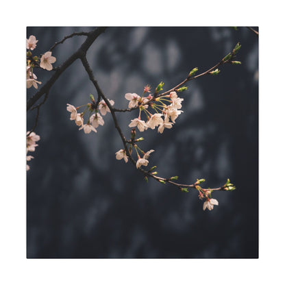 Cherry Blossom Moody Minimal Canvas Art | Bold Dark Japandi Art