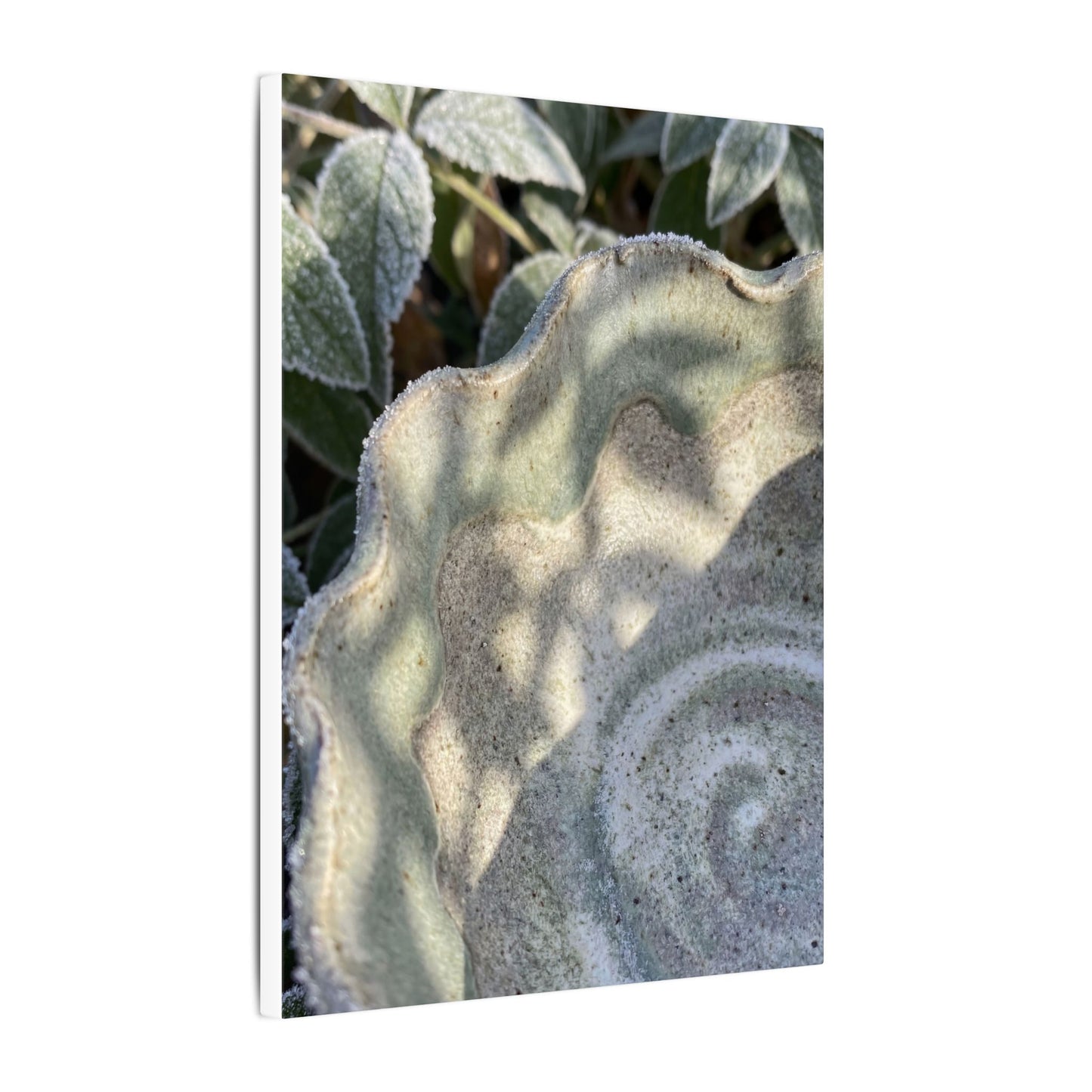 Dappled Ceramic Bowl Canvas Art - Japandi Seijaku
