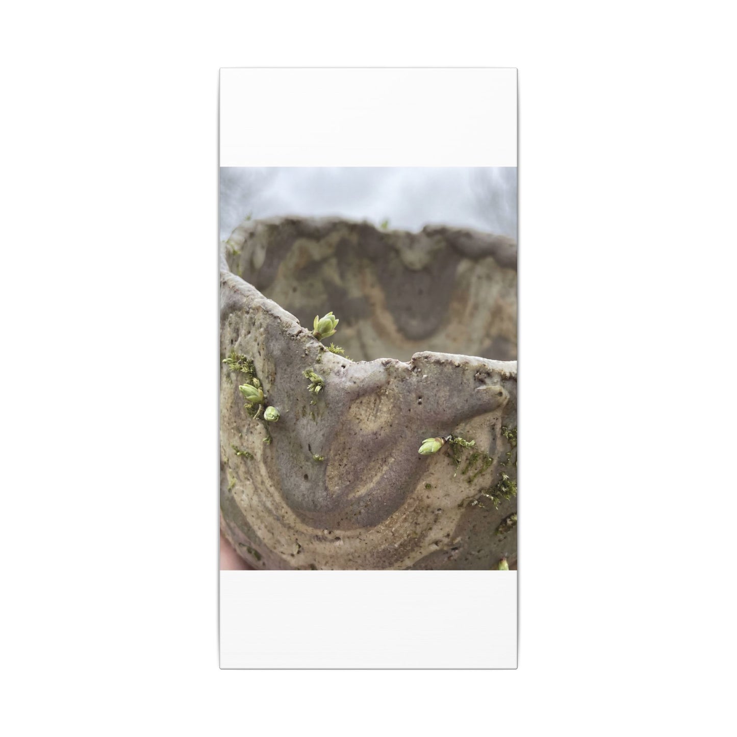 Overcast Ceramic Bowl Canvas Art - Japandi Fukinsei
