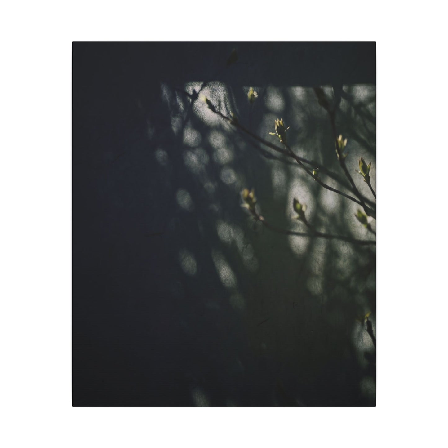 Dark Japandi Shoji Screen in Dappled | Moody Minimal Canvas Art