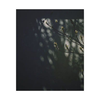 Dark Japandi Shoji Screen in Dappled | Moody Minimal Canvas Art
