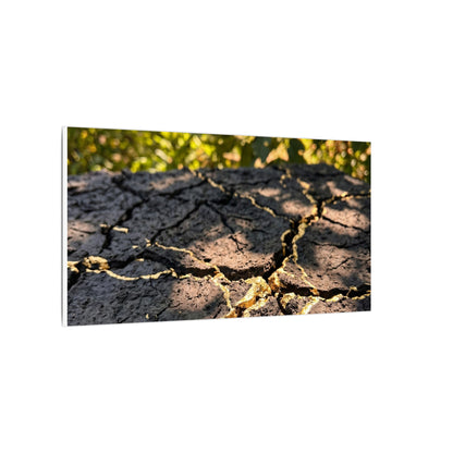 Shibui Cracked Earth Canvas Art - Kintsugi Gold Repair