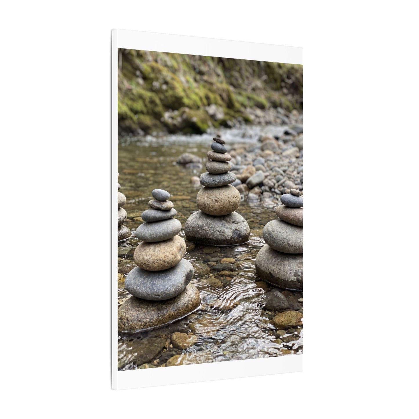 Bamboo Grove Winter Canvas Art | Zen Serene Design