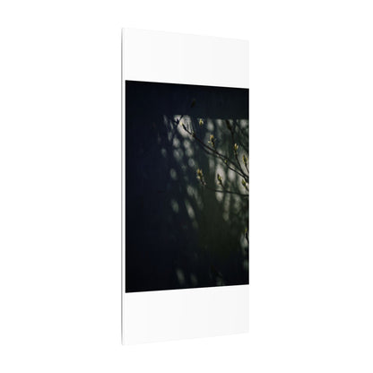 Dark Japandi Shoji Screen in Dappled | Moody Minimal Canvas Art