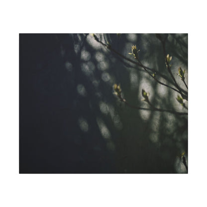 Dark Japandi Shoji Screen in Dappled | Moody Minimal Canvas Art